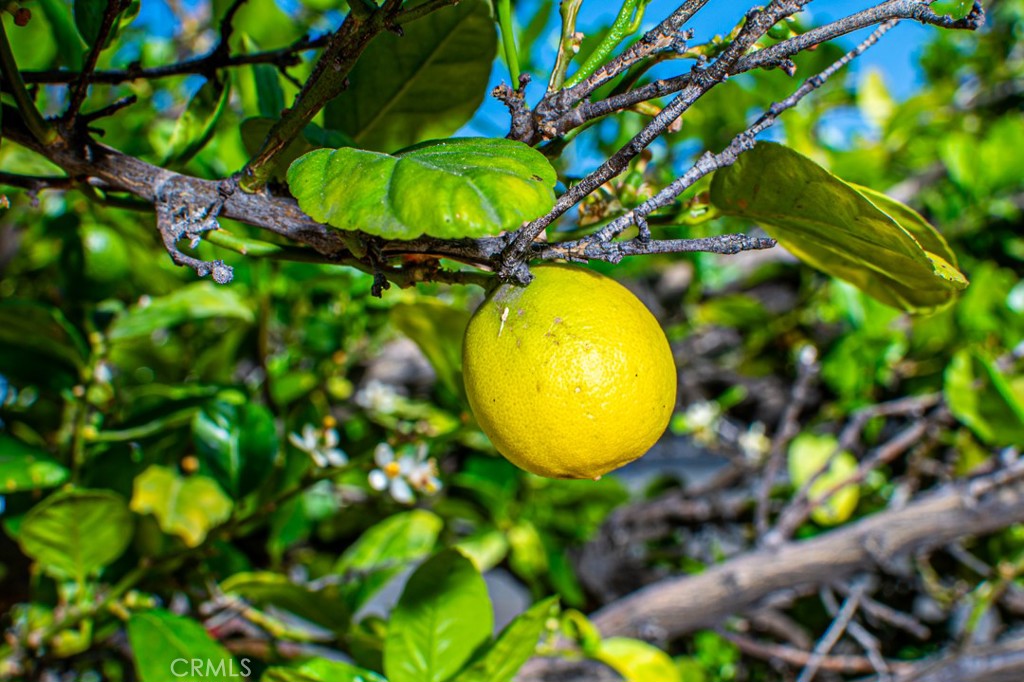 https://media.crmls.org/medias/94ba60cb-abf7-4413-8100-760d8e72d96d.jpg?preset=X-Large