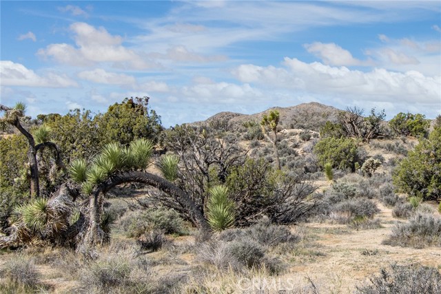 Detail Gallery Image 10 of 20 For 9486 Carmelita Cir, Yucca Valley,  CA 92284 - – Beds | – Baths
