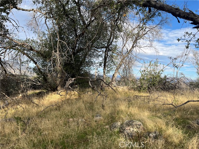 Detail Gallery Image 63 of 69 For 4934 Guadalupe Fire, Catheys Valley,  CA 95306 - – Beds | – Baths