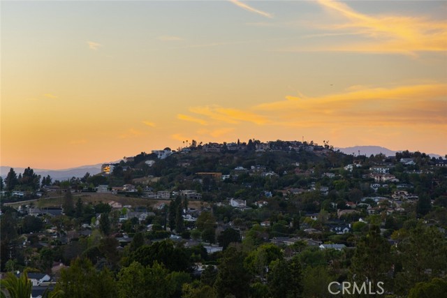 Detail Gallery Image 61 of 70 For 11385 La Vereda, North Tustin,  CA 92705 - 3 Beds | 3 Baths