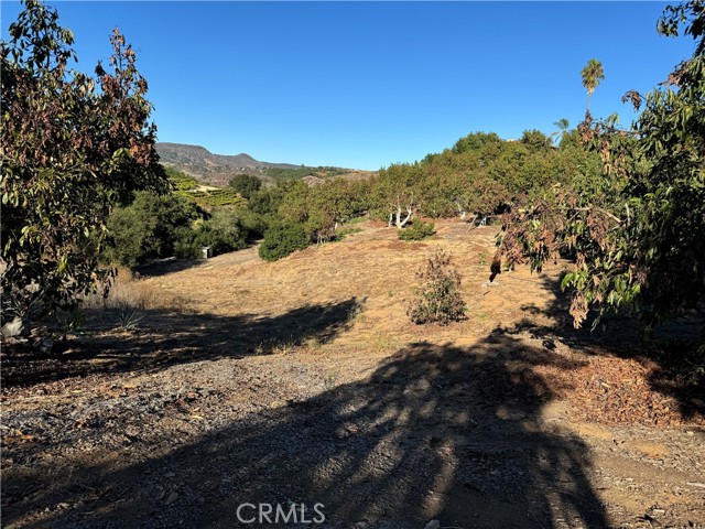 23192 De Anza Road, Temecula CA: https://media.crmls.org/medias/94ce91c4-a327-4eaf-9263-87dea5828205.jpg