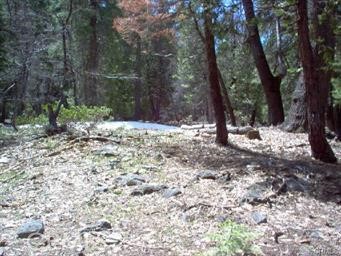 Detail Gallery Image 6 of 8 For 7497 Henness Cir, Yosemite,  CA 95389 - – Beds | – Baths