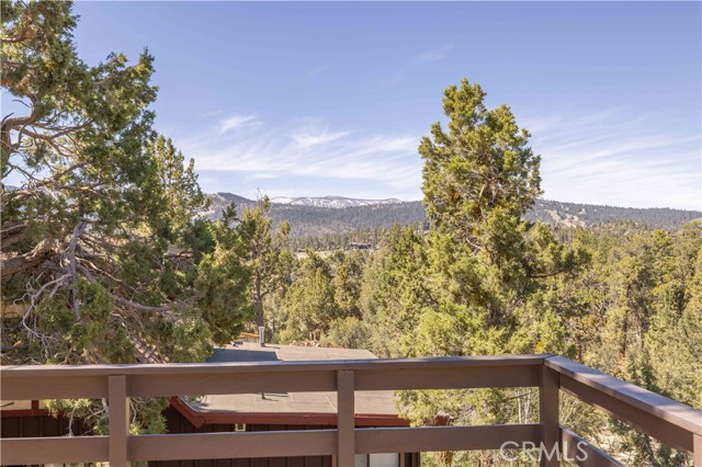 Detail Gallery Image 19 of 48 For 1095 Mount Verdi Rd, Big Bear City,  CA 92314 - 3 Beds | 2 Baths