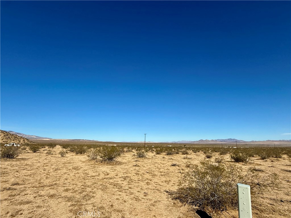 MLS #JT25208342 image #9