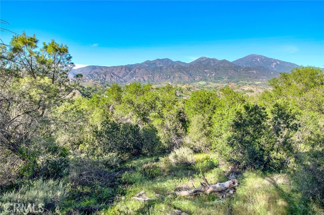 Detail Gallery Image 73 of 75 For 273 Montana Del Lago, Rancho Santa Margarita,  CA 92688 - 3 Beds | 2/1 Baths