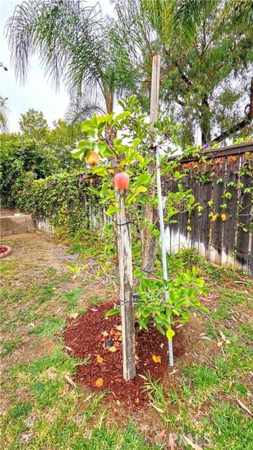 821 Atlantic Circle, Corona CA: https://media.crmls.org/medias/94e0e434-5b84-4059-9749-5ee18a8a1b51.jpg