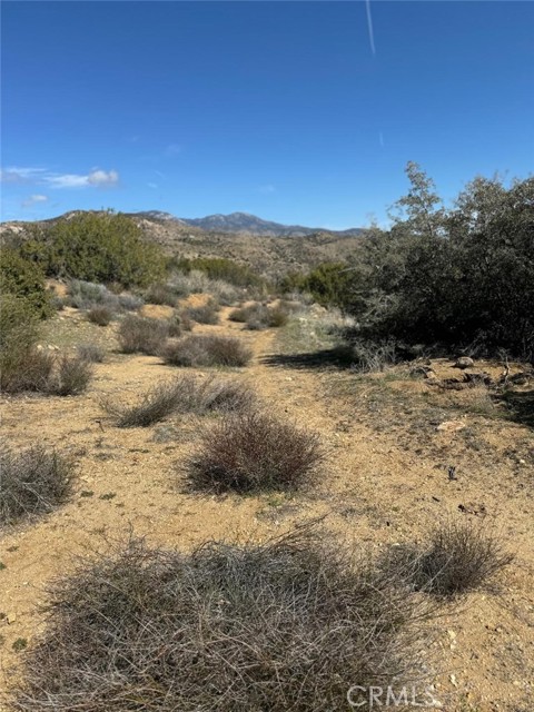 0 Covered Wagon Trail, Anza, California 92539, ,Land,For Sale,0 Covered Wagon Trail,CRSW24042253