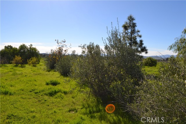 Image 17 of 38 For 29580 Patelli Way