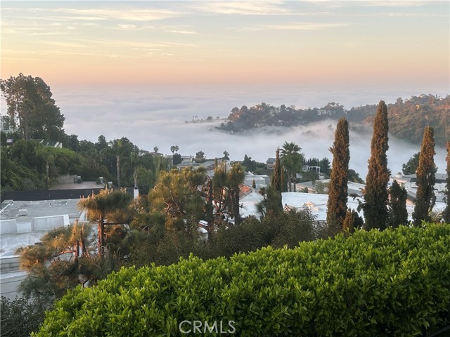 Detail Gallery Image 131 of 200 For 7930 Vulcan Dr, Los Angeles,  CA 90046 - 7 Beds | 8/1 Baths