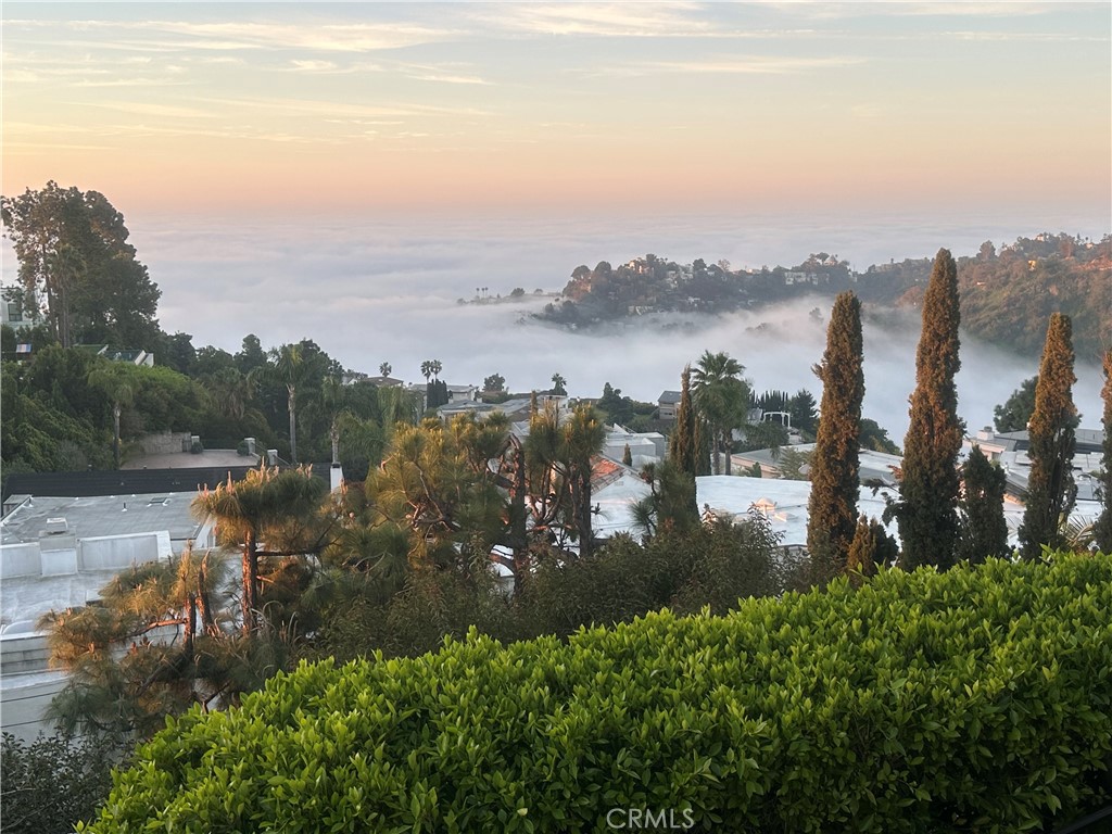 MLS #LG25270417 image #130