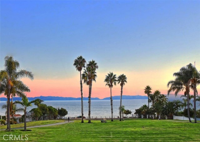 Nearby Park With Catalina View