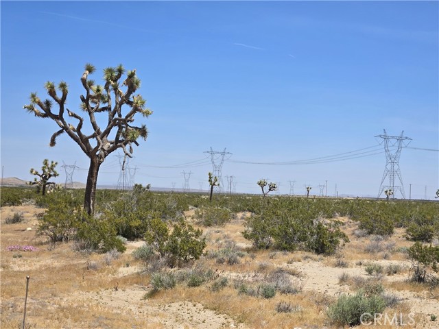 Detail Gallery Image 2 of 7 For 10 Acres Beaver Ave, Adelanto,  CA 92301 - – Beds | – Baths