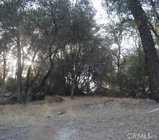MLS #MC25047536 image #3