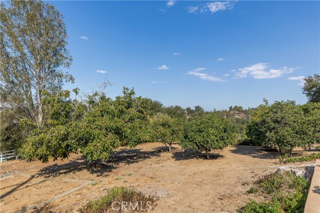 Detail Gallery Image 56 of 62 For 1581 Sycamore Dr, Fallbrook,  CA 92028 - 4 Beds | 2 Baths