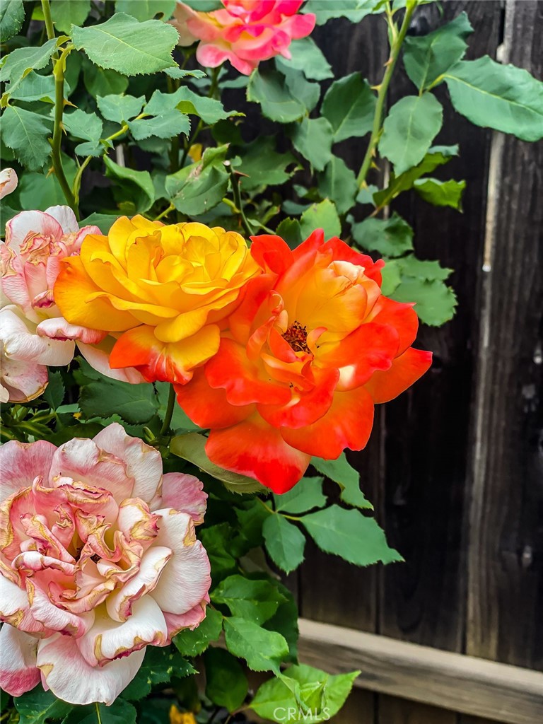 https://media.crmls.org/medias/94f8fd84-f327-4b3f-bc9e-39d76db9c1d0.jpg?preset=X-Large