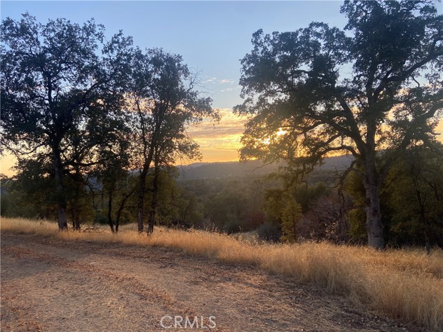 Detail Gallery Image 5 of 32 For 4764 4766 Hirsch Rd, Mariposa,  CA 95338 - – Beds | – Baths