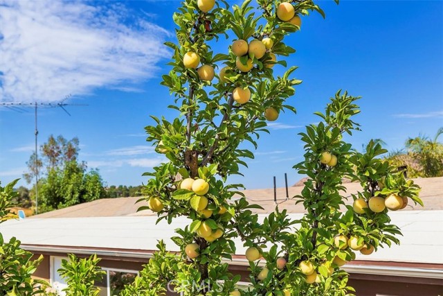 Detail Gallery Image 24 of 50 For 37630 Remuda Dr, Temecula,  CA 92592 - 2 Beds | 2 Baths