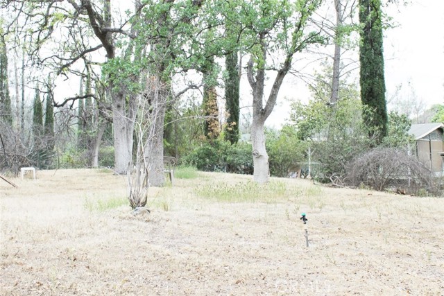 15723 El Dorado Drive, Corning CA: https://media.crmls.org/medias/95005879-9fc6-4956-965d-59d4bd3933bc.jpg