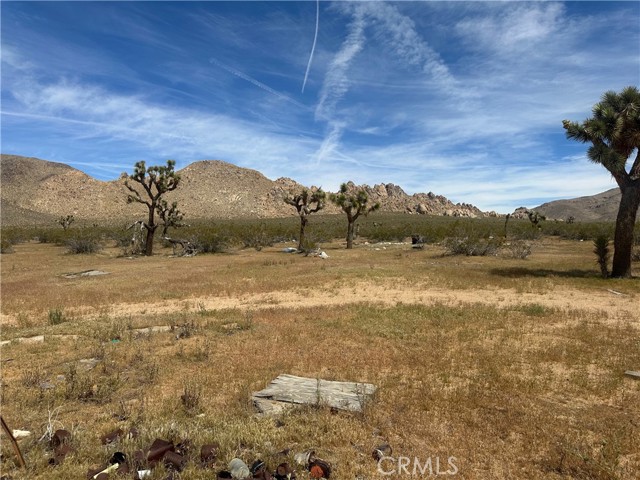 Detail Gallery Image 8 of 19 For 26705 Corwin, Apple Valley,  CA 92307 - – Beds | – Baths