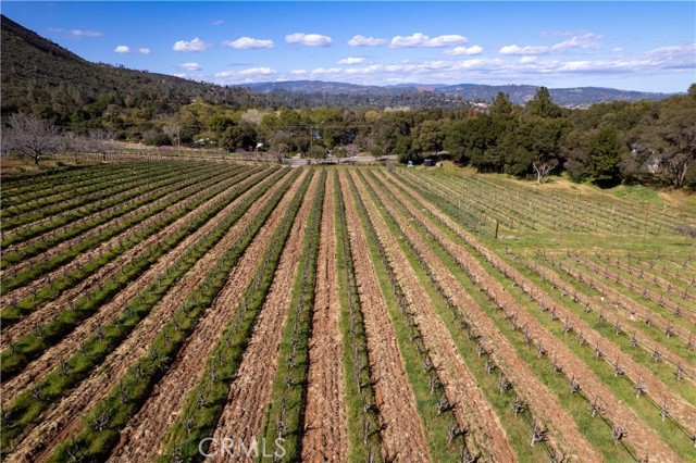 8993 Soda Bay Road, Kelseyville CA: https://media.crmls.org/medias/9502d70d-e413-4d09-abbb-5878a11da563.jpg