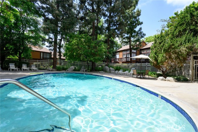 Pool surrounded by gorgeous pine trees