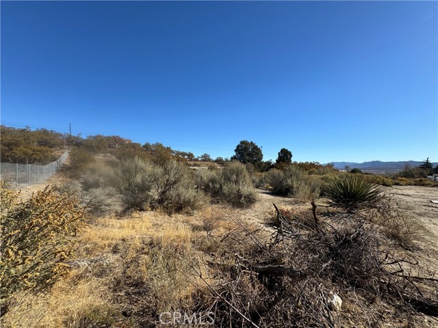 Detail Gallery Image 12 of 12 For 19 Old Forest, Anza,  CA 92539 - – Beds | – Baths