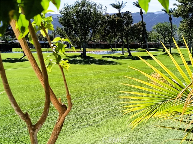 Detail Gallery Image 55 of 73 For 6 Whittier Ct, Rancho Mirage,  CA 92270 - 3 Beds | 3 Baths