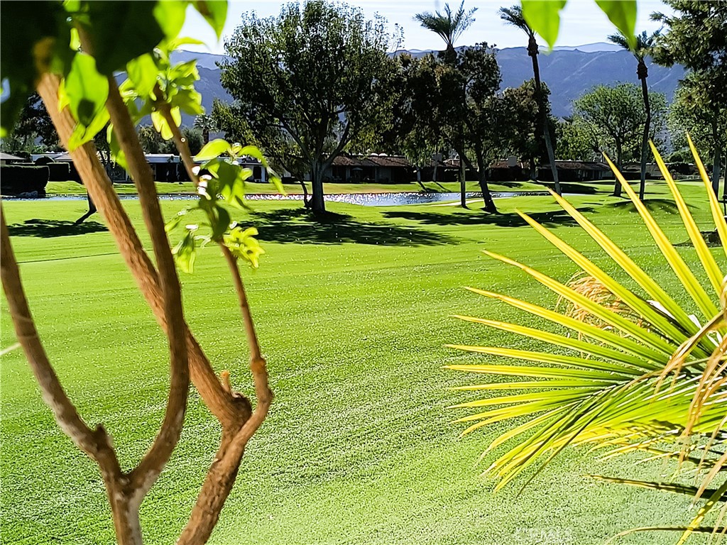 https://media.crmls.org/medias/951052d1-4d90-4165-984f-a1d4d46139a4.jpg?preset=X-Large