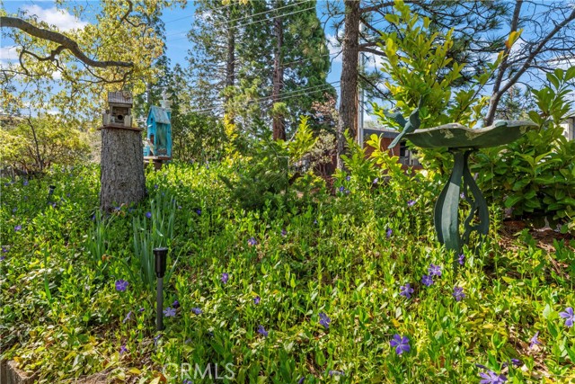 Detail Gallery Image 34 of 41 For 1343 Golden Rule Ln, Lake Arrowhead,  CA 92352 - 3 Beds | 2/1 Baths