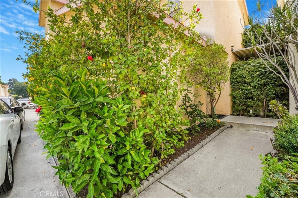 MLS #PI25104037 image #5