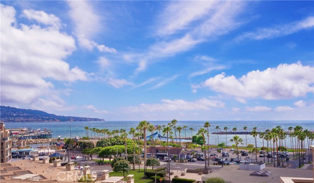 Harbor and Palos Verdes Views