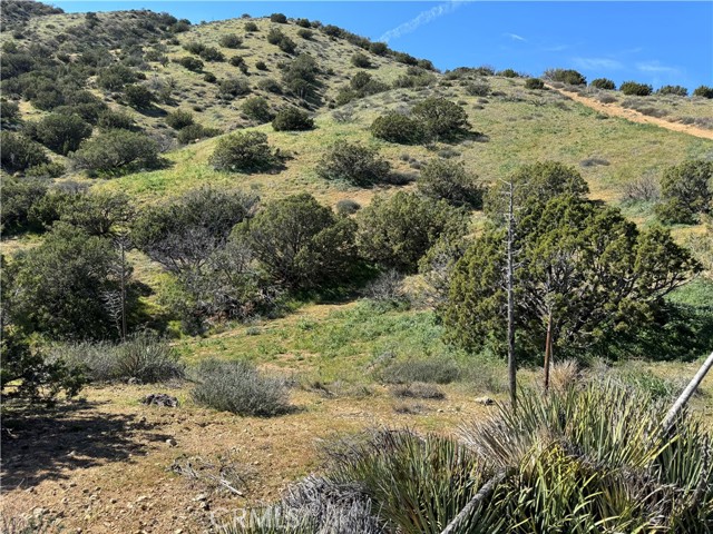 Detail Gallery Image 4 of 8 For 0 0, Acton,  CA 93510 - – Beds | – Baths