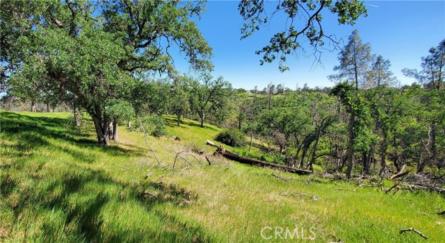 Front Image Thumbnail for CRSN26069342