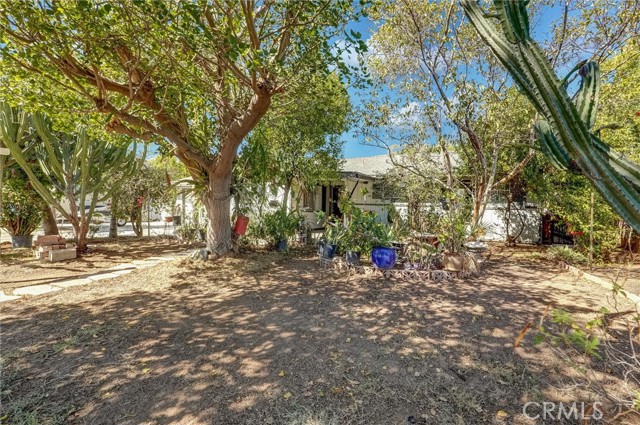 643 Harding photo 3