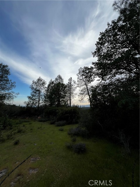 Detail Gallery Image 8 of 9 For 0 Donkey Mine Rd, Oak Run,  CA 96069 - – Beds | – Baths