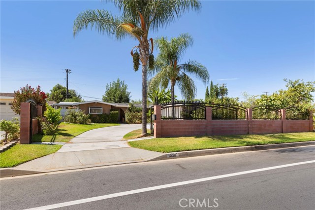 Front Image Thumbnail for CRWS26186884
