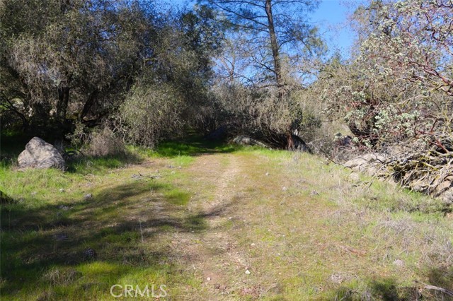 Detail Gallery Image 5 of 24 For 0 6.48 Ac Long Hollow Dr, Coarsegold,  CA 93614 - – Beds | – Baths