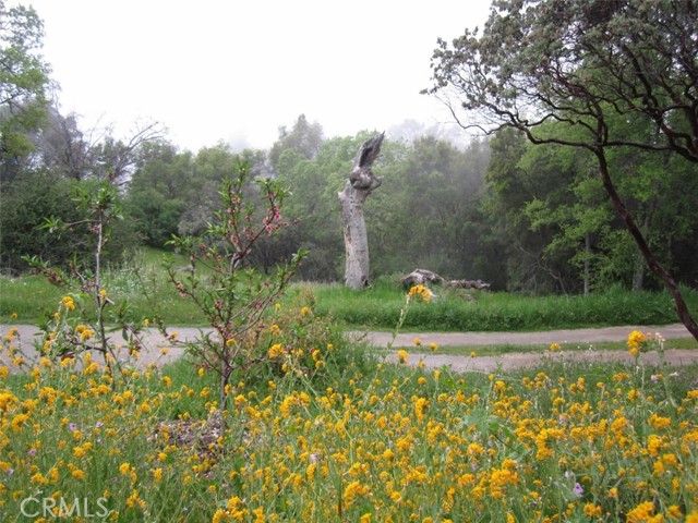 Detail Gallery Image 40 of 41 For 3279 Quail Run Rd, Mariposa,  CA 95338 - – Beds | – Baths