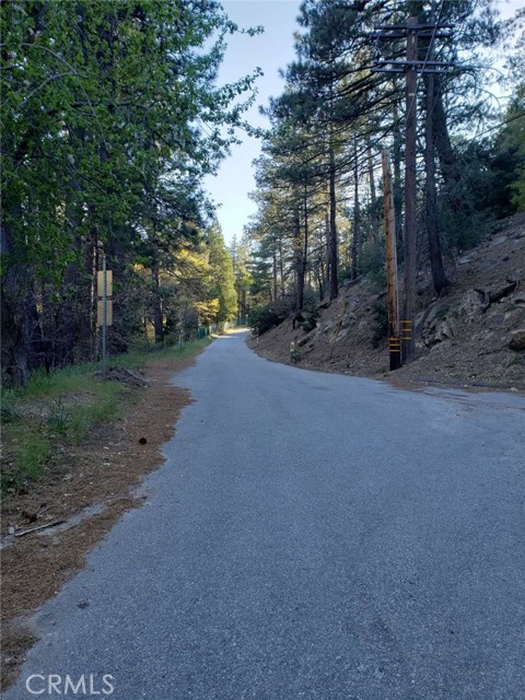 Detail Gallery Image 6 of 7 For 29531 Little Bear Creek Rd, Cedar Glen,  CA 92321 - – Beds | – Baths