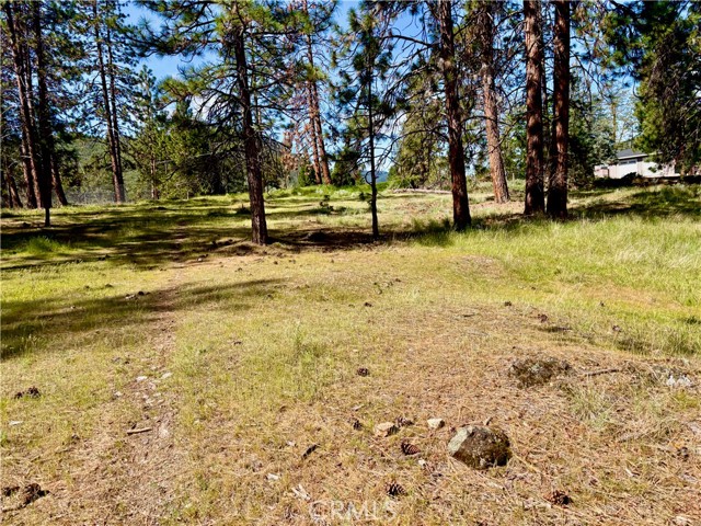 Image 6 of 54 For 0 S Lang Way