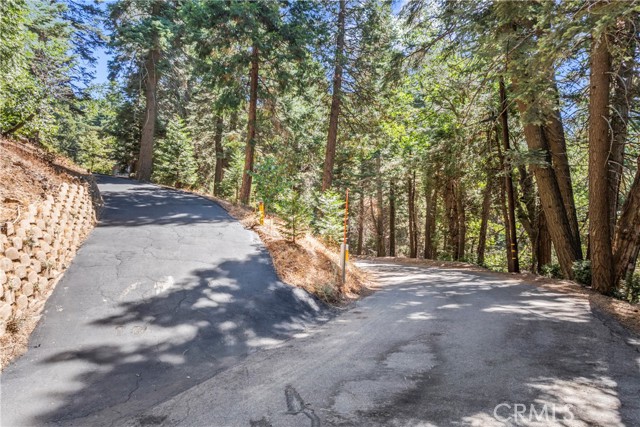 Detail Gallery Image 67 of 69 For 899 Blue Ridge, Lake Arrowhead,  CA 92385 - 3 Beds | 2 Baths