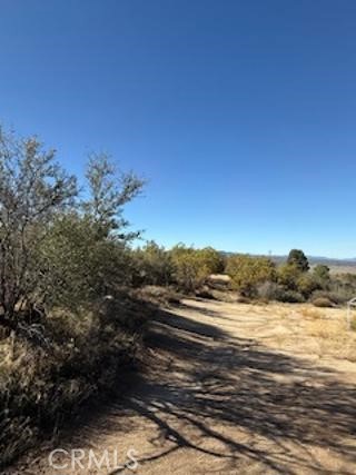 MLS #SW25227735 image #9