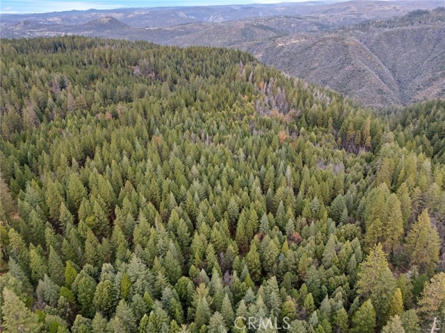 Front Image Thumbnail for CRSN25271184