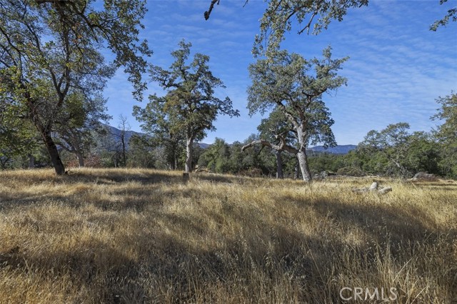 Front Image Thumbnail for CRFR26071054