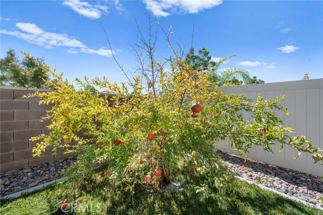 Detail Gallery Image 14 of 28 For 29314 Sword Fern, Lake Elsinore,  CA 92530 - 4 Beds | 3 Baths