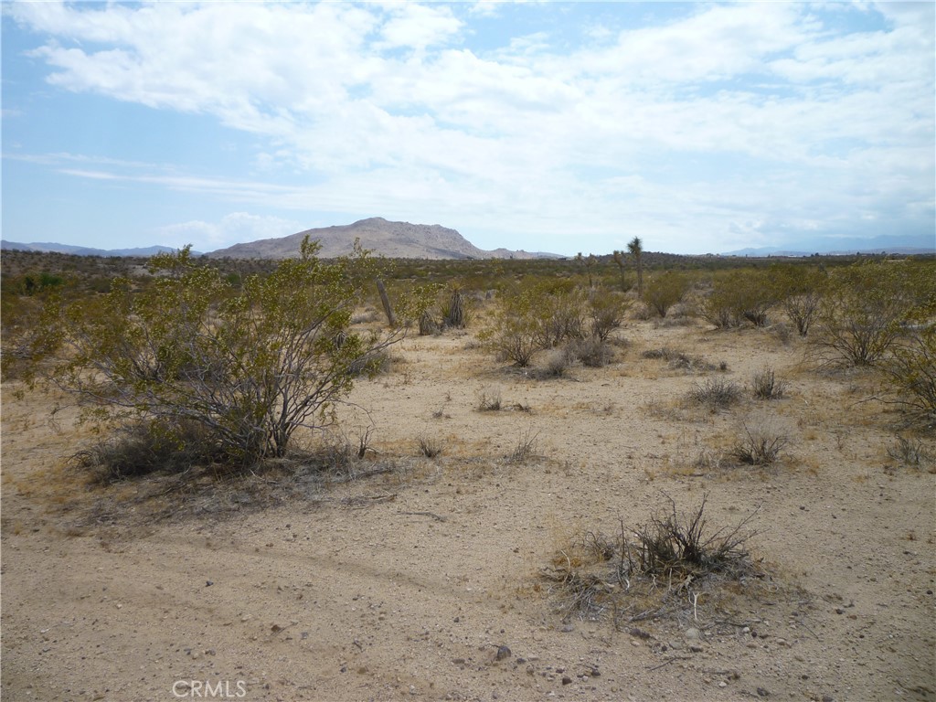 MLS #JT25229232 image #1