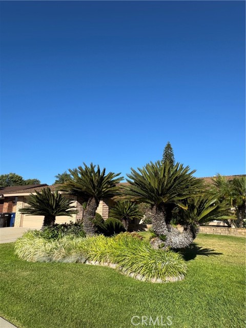 6708 Bequette Avenue, Pico Rivera CA: https://media.crmls.org/medias/953fc1b2-88c7-43e8-96f5-a509f44d5b55.jpg