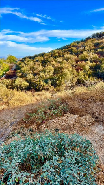 Detail Gallery Image 25 of 35 For 23800 Cloud Burst Rd, Wildomar,  CA 92595 - 1 Beds | 1 Baths