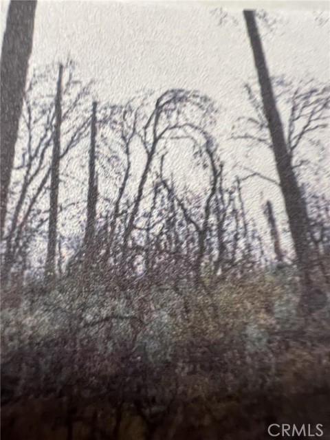 Detail Gallery Image 6 of 11 For 0 Rockerfeller Rd, Berry Creek,  CA 95916 - – Beds | – Baths