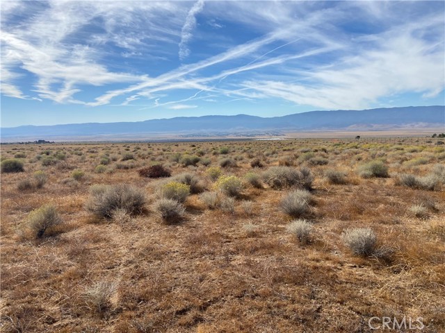 Detail Gallery Image 6 of 11 For 0 Vecinity of 255th W. & Patterson, Rosamond,  CA 93560 - – Beds | – Baths